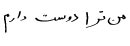 Cómo escribir Te amo en persa