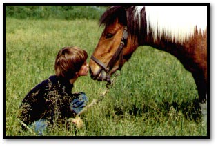 I love you horse