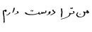 How to write I love you in Persian